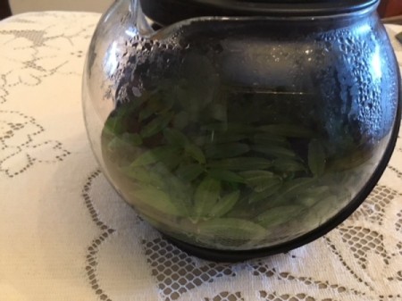 Making Loose Leaf Tea - heat water to almost boiling, add rinsed leaves and steep