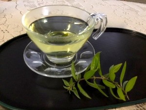 Making Loose Leaf Tea - clear tea cup of herbal tea with sprig next to saucer