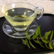 Making Loose Leaf Tea - clear tea cup of herbal tea with sprig next to saucer