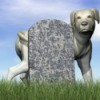 tombstone and dog