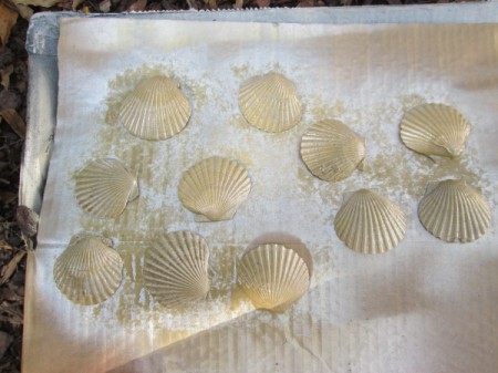 Shabby Chic Shell Ornaments - paint the outside of the shells