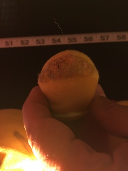 Value of a Winnie the Pooh Stuffed Bear