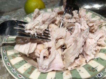 Leftover Turkey on plate