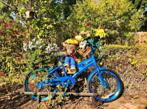 Make a Bicycle Planter - blue bike