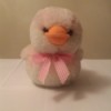 Identifying a Stuffed Toy - stuffed duck with a pink and white plaid bow