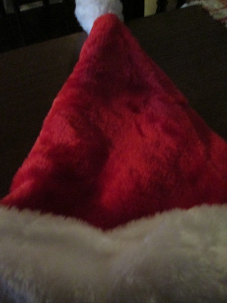 Helium Tank Upcycled as The Grinch - Santa hat