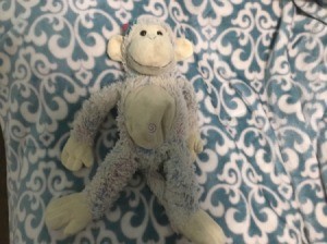 Identifying a Stuffed Toy - stuffed monkey