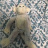 Identifying a Stuffed Toy - stuffed monkey
