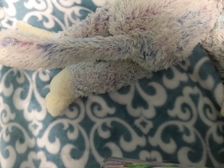 Identifying a Stuffed Toy