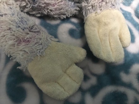 Identifying a Stuffed Toy