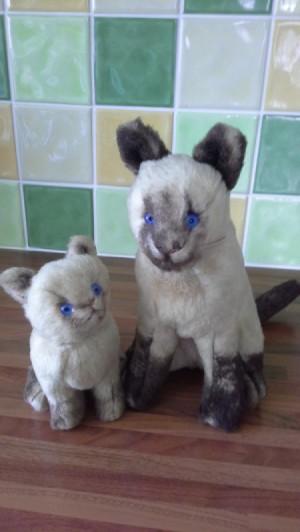Identifying a Stuffed Toy - stuffed toy Siamese cats