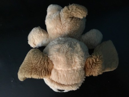 Identifying a Stuffed Toy