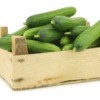 wooden crate piled with fresh cucumbers