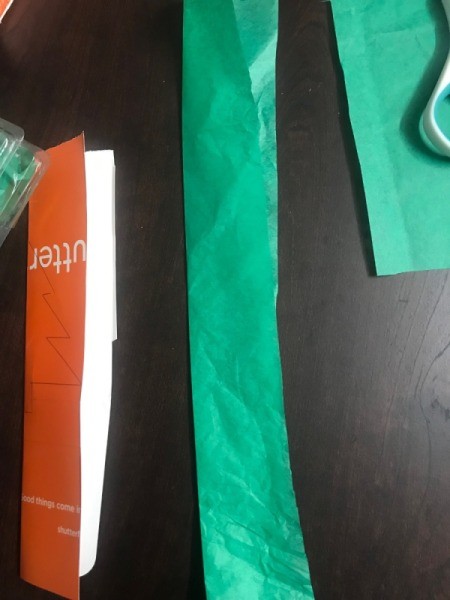 Christmas Candy Egg Carton Gift Box - cut a piece of green tissue paper to fit the carton top and fold in half