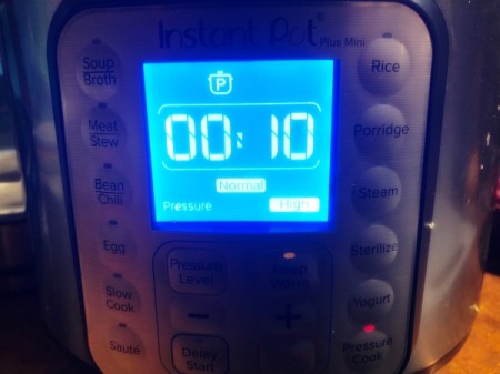 Instant Pot timer set at 10 minutes