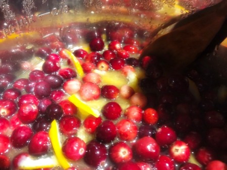 Cranberries added to Oranges & sugar