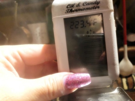 termometer in Cranberry Orange Marmalade