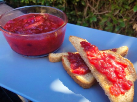 Cranberry Orange Marmalade in bowl and on toast