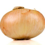 Vidalia onion on white background