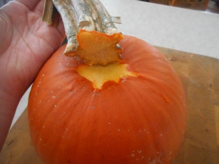 Removing stem from Pumpkin