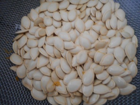 washing Pumpkin seeds in strainer