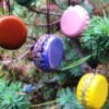 French Macaron Cookie Ornaments  - hang on the tree