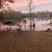 Moving Pekin Duck Eggs - duck pen near the lake shore