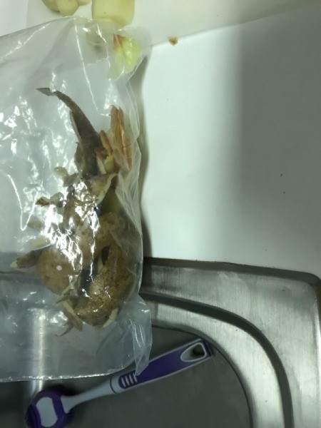 potato peelings in plastic bags