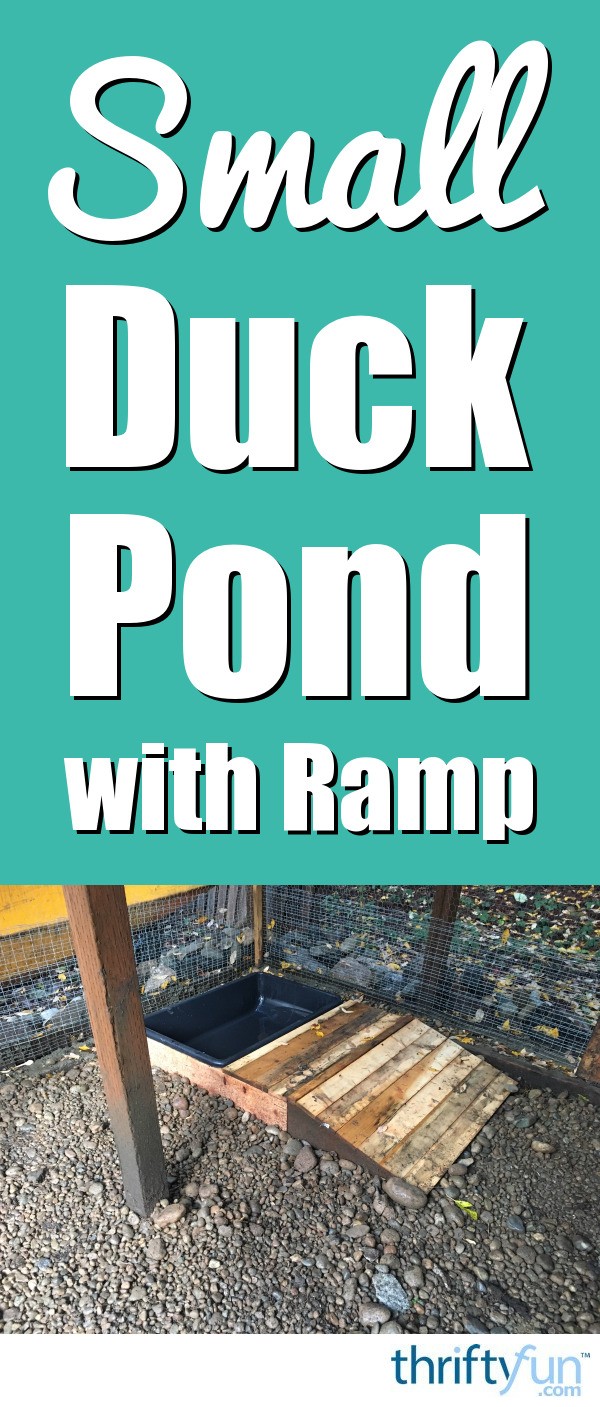 Small Duck Pond with Ramp | ThriftyFun