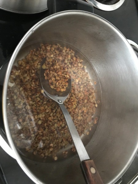 adding water to lentils