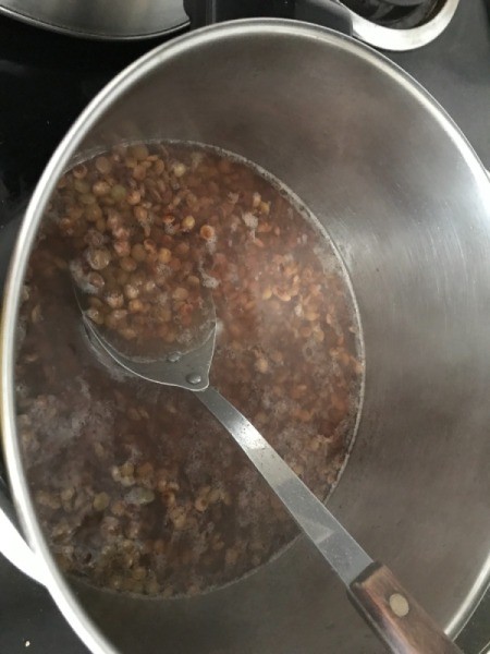 cooking Lentils