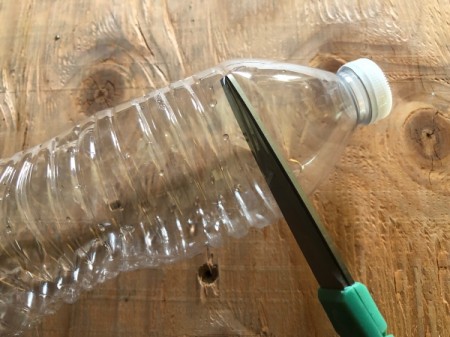 Plastic Bottle Fruit Fly Trap - put scissors into bottle at the top curve