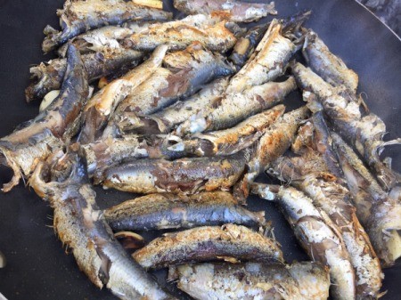 browned Sardines