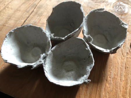 Egg Carton Magic Mushrooms - cut out cups from the carton