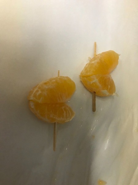 put 2 cut clementine segments with toothpick