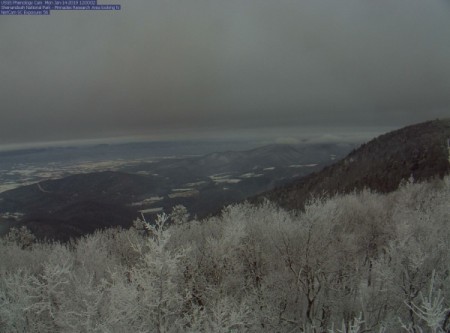 A snow covered forest high up on a mountain.