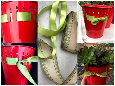 Succulent Planters - add ribbon as a final touch to the planter