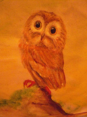 A drawing of an owl.