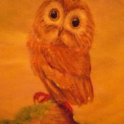 A drawing of an owl.