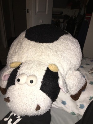 Identifying a Stuffed Cow - black and white terry cloth stuffed cow