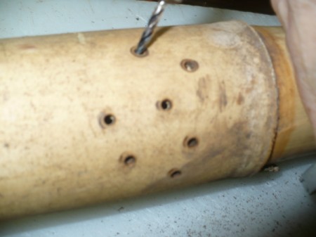 Making a Bamboo Rainstick - drill holes on one side