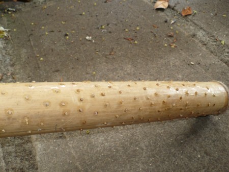 Making a Bamboo Rainstick - holes filled and tiny stubs of the skewers showing