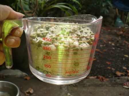 Making a Bamboo Rain Stick - fill a 2 cup measure with the dried grains