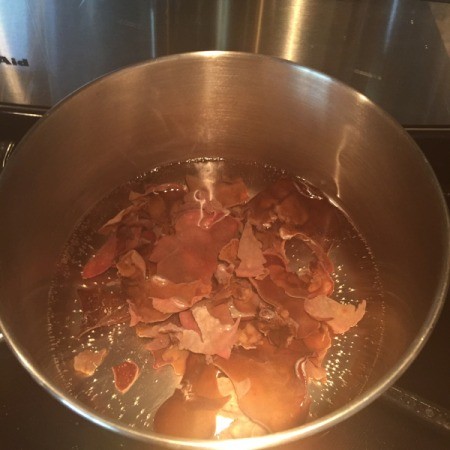 Black Fungus Mushroom in pot