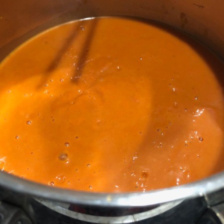 Mexican Chicken Salsa Soup | ThriftyFun