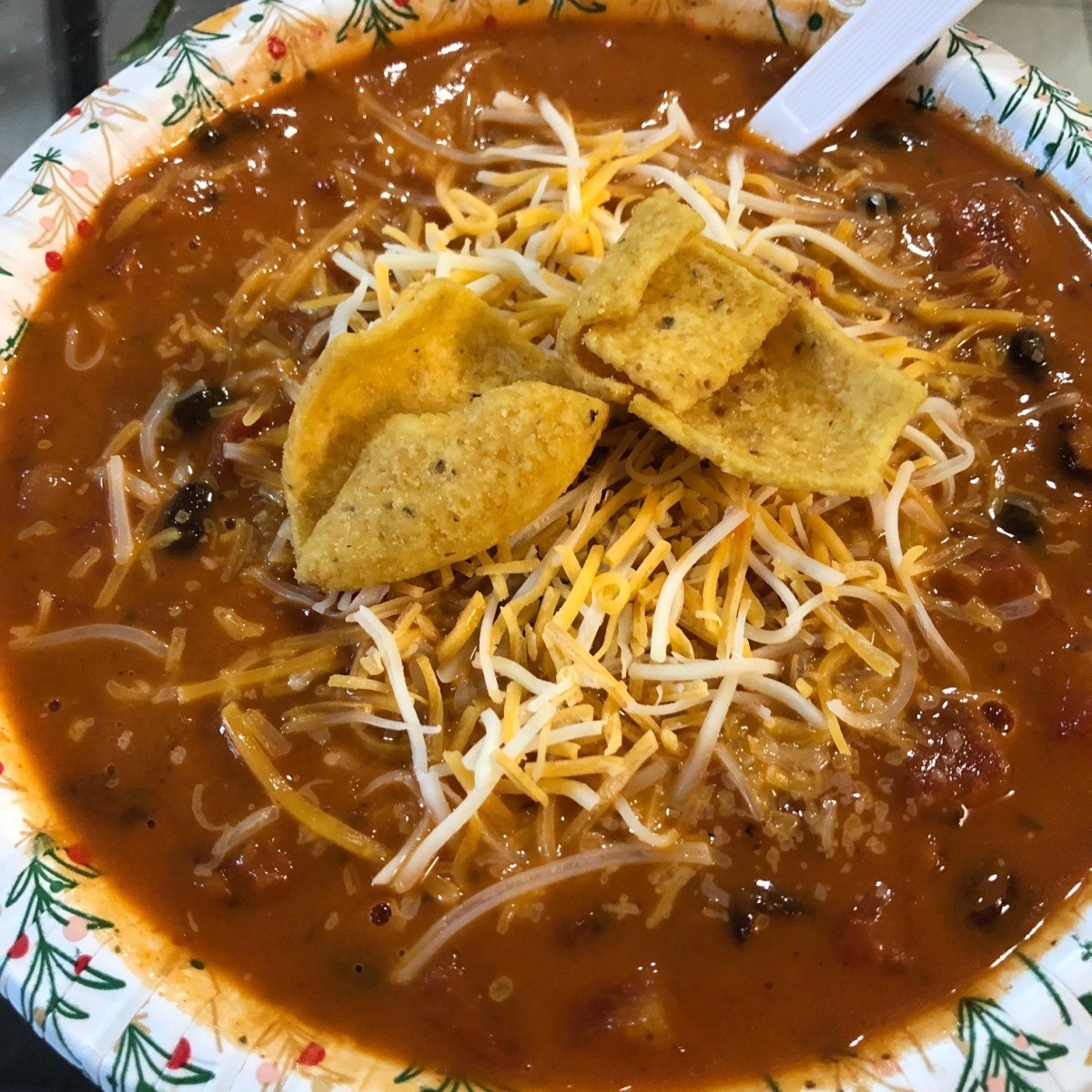 Mexican Chicken Salsa Soup | ThriftyFun