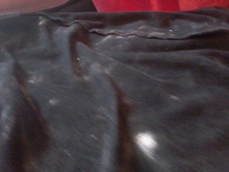 little white bug eggs