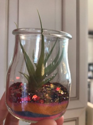 Air Plant with Layered Sand and Glitter