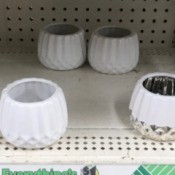 Dollar Tree Candle Holders as Succulent Pots - inexpensive candle holders to use as succulent pots