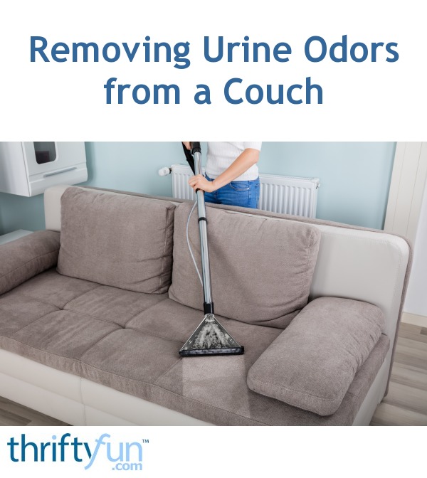 Removing Urine Odors From A Couch Thriftyfun